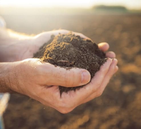 EUROPEAN BEEF & LAMB - 肥沃な土壌