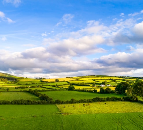 Ideal Agricultural Conditions